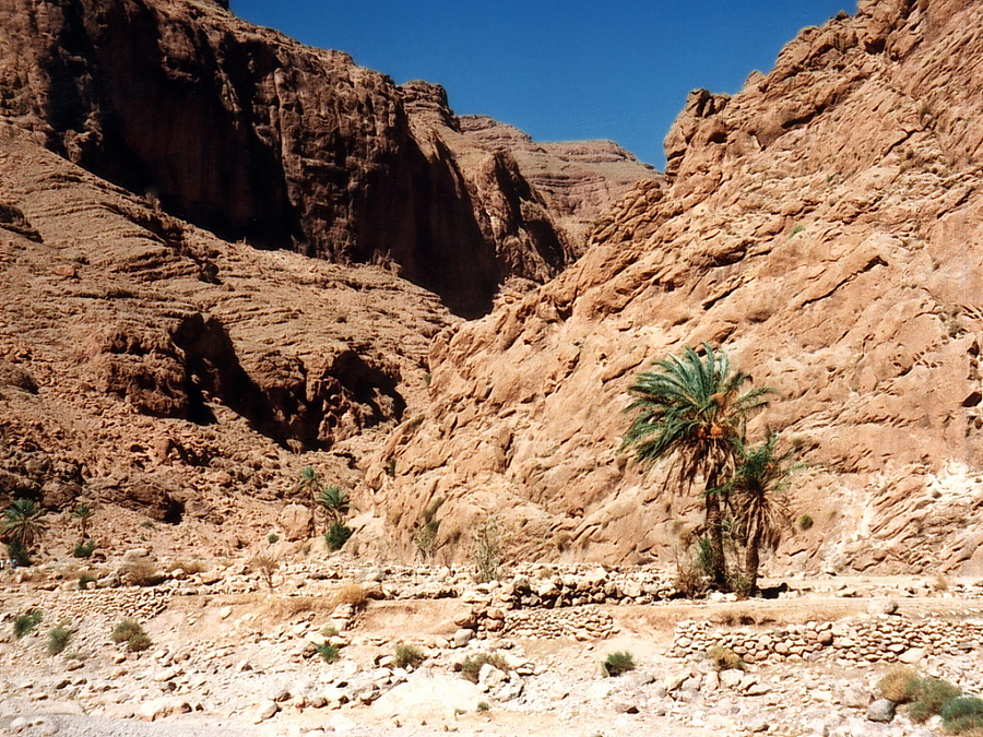 Todra - Kloof De Gorges du Todgha en de Gorges du Dadès zijn 2 indrukwekkende kloven. Stefan Cruysberghs